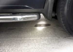 Leaking Fluid