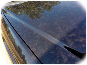 Prevent Water Spots on Your Car