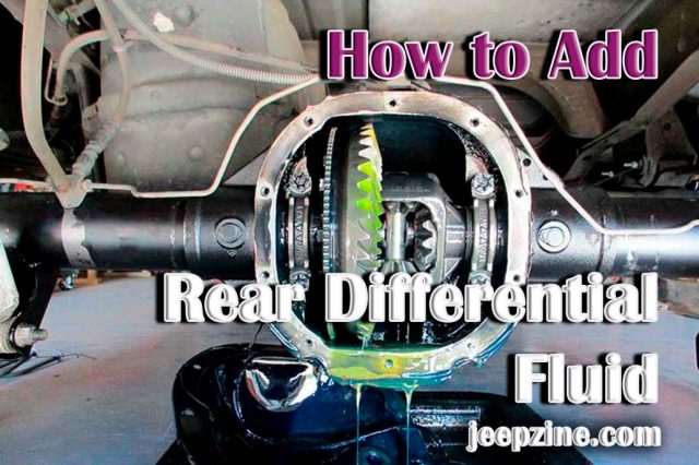 How to Add Rear Differential Fluid