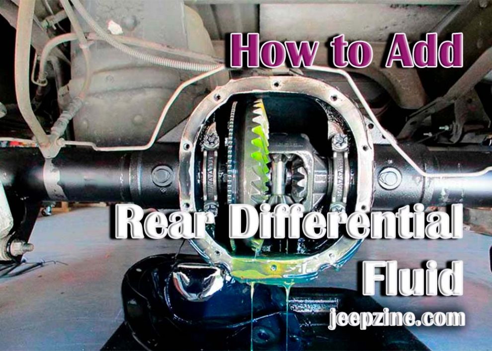 How to Add Rear Differential Fluid