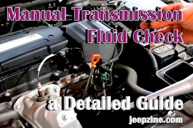 Manual Transmission Fluid Check - a Detailed Guide